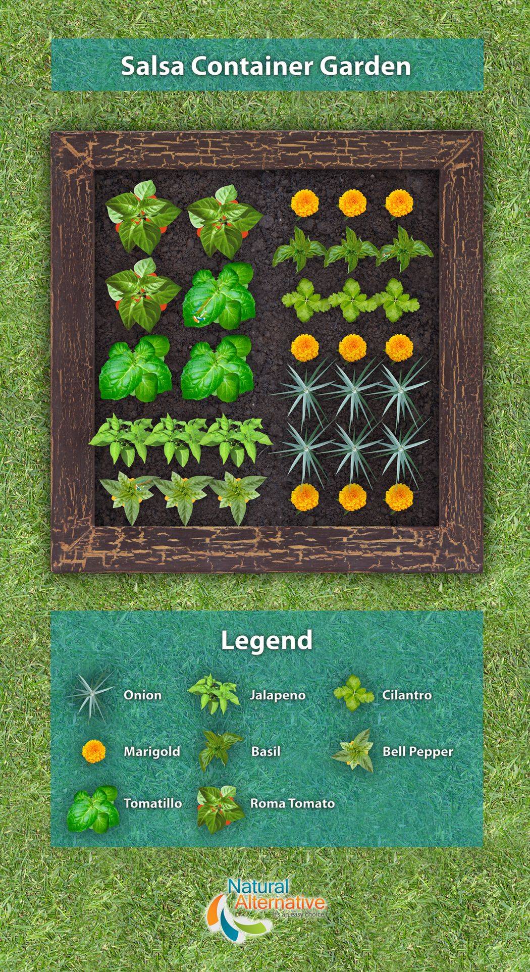 Sitesgardenerssite Garden Layout Vegetable