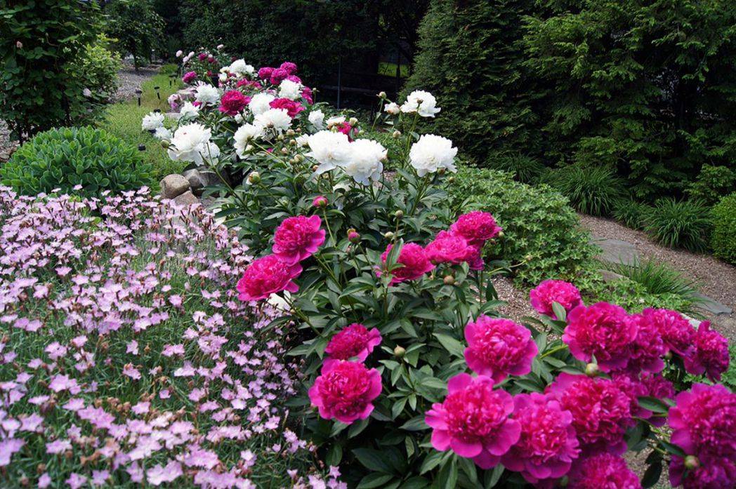 Stunning Cottage Garden Ideas