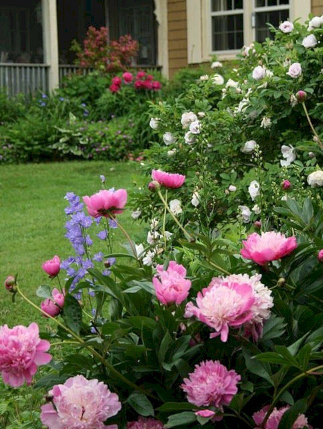 Marvelous Peony Garden Landscaping Ideas