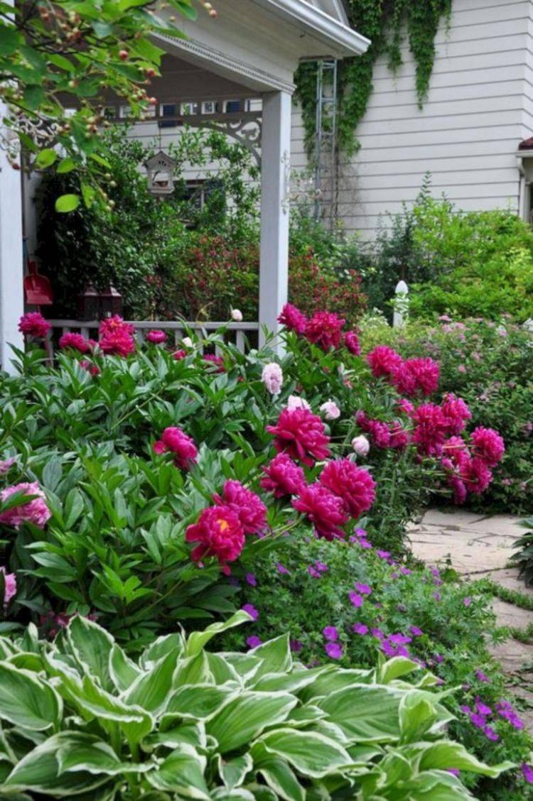 Marvelous Peony Garden Landscaping Ideas
