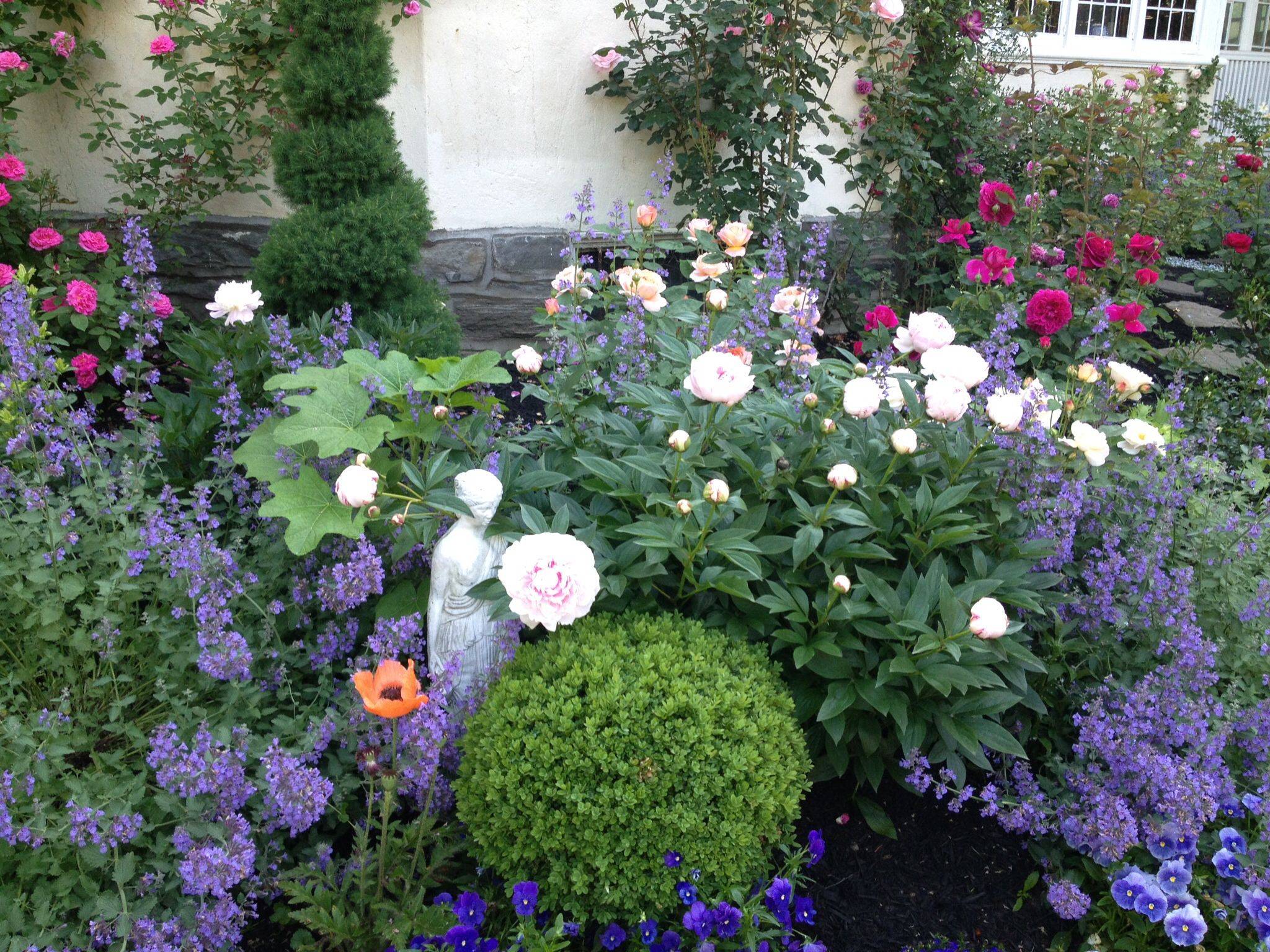 Marvelous Peony Garden Landscaping Ideas