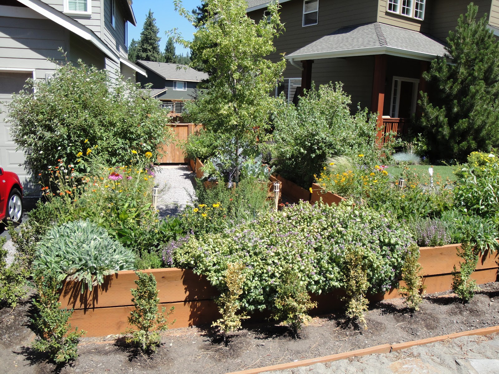 Bed Front Yard Front Yard Garden