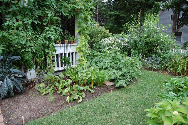 Elegant And Fabulous Ideas