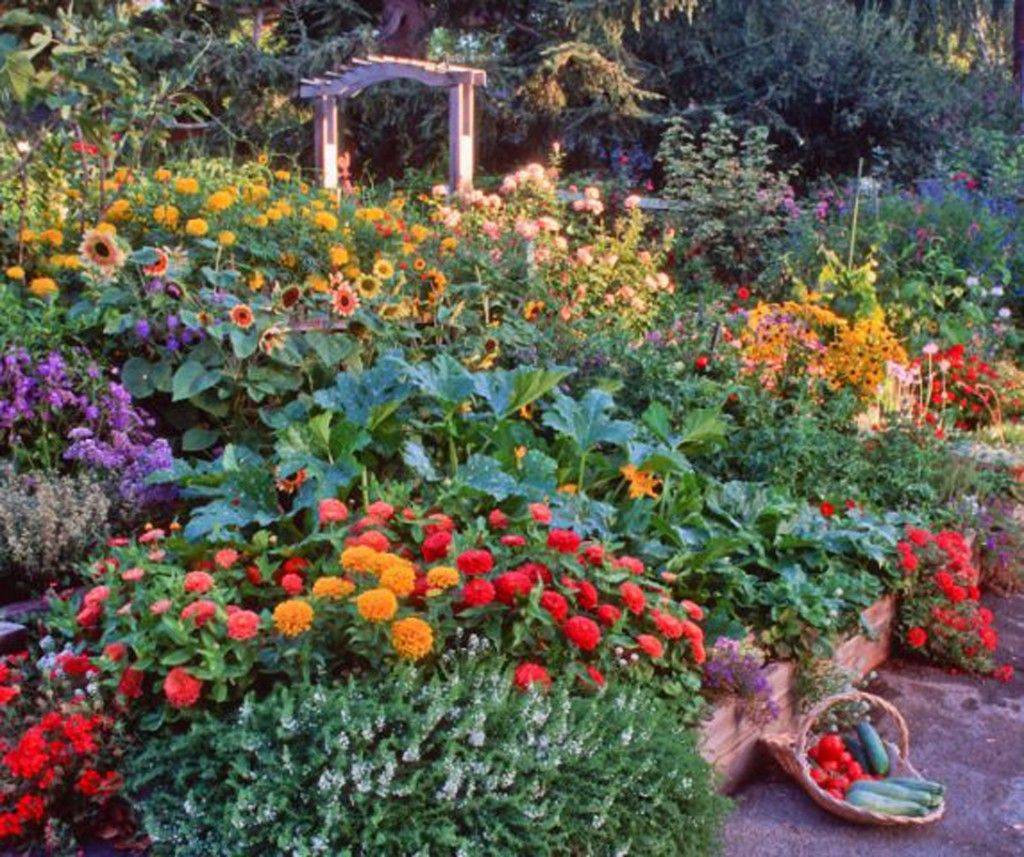 Best Front Yard Veggie Gardens Images