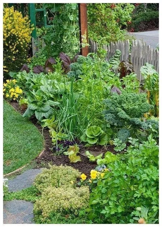 A Beautiful Edible Garden