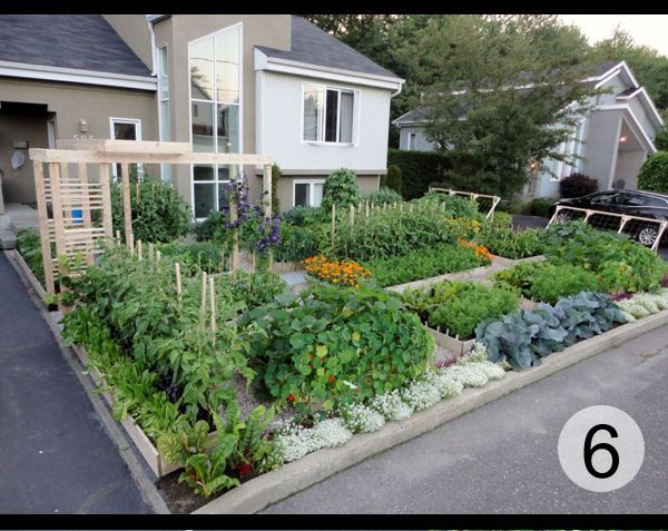 The San Francisco Garden Show