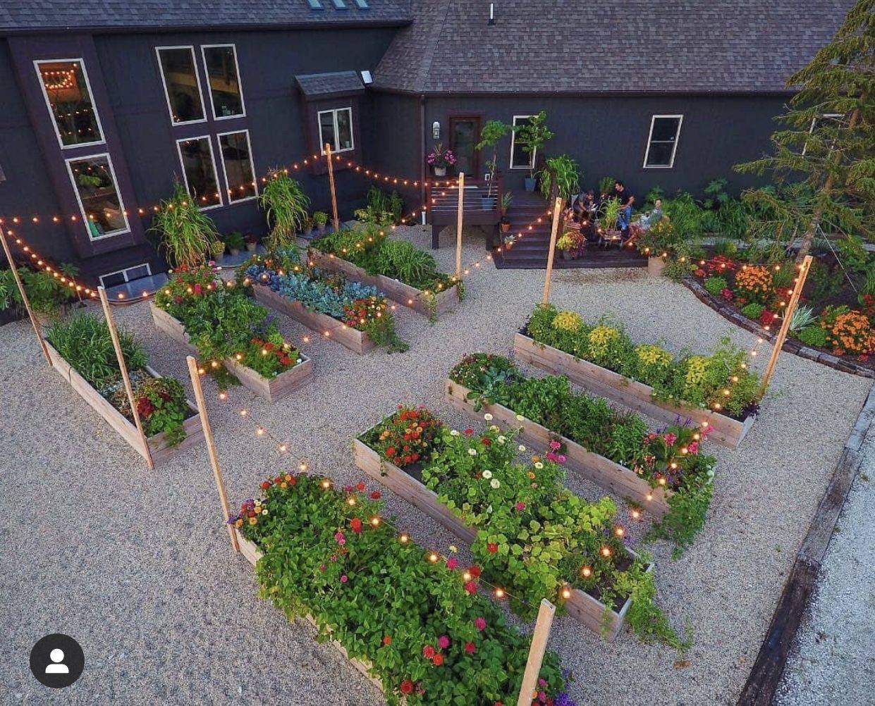 Home Vegetable Garden