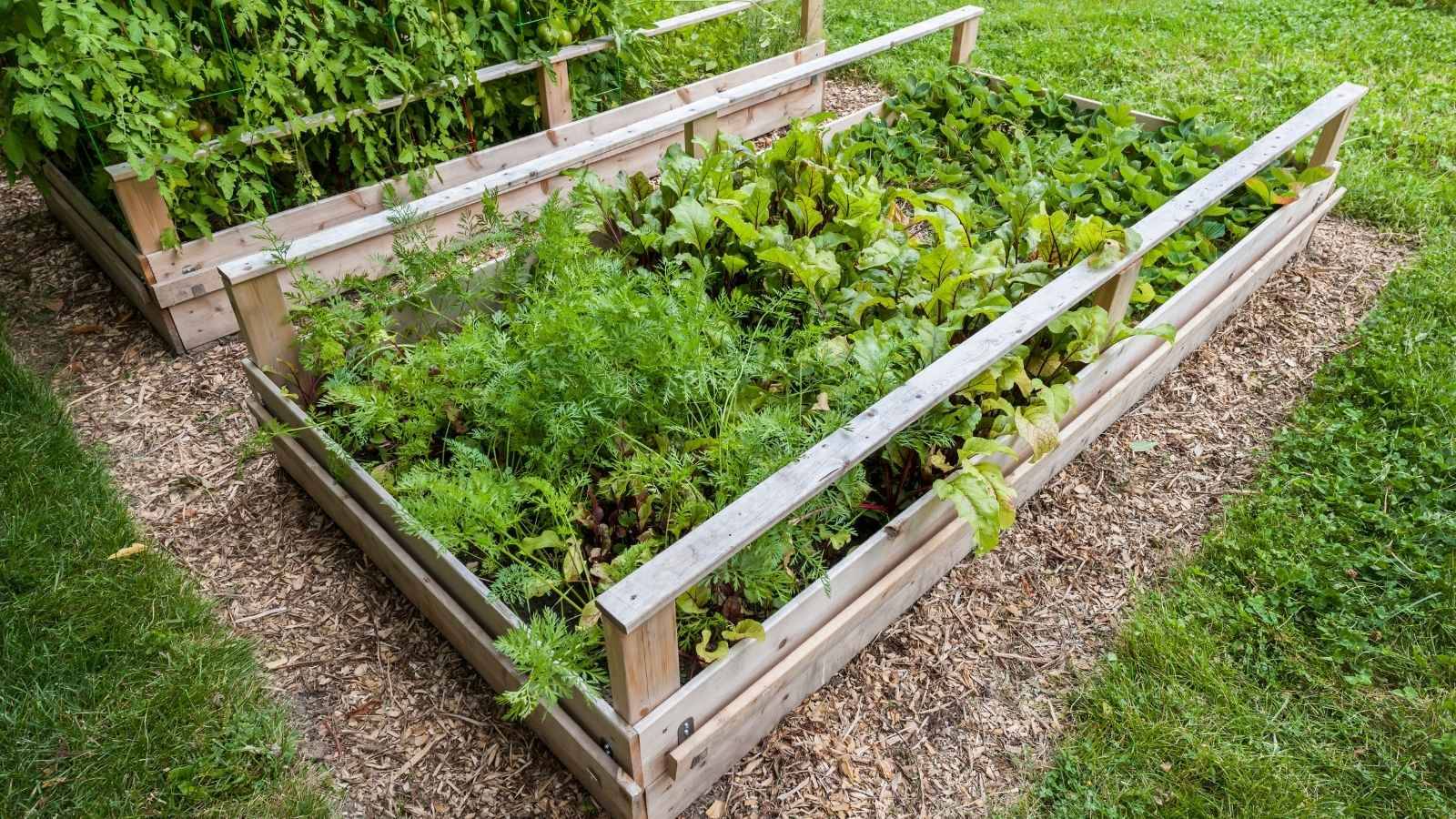 Easy Diy Project Garden Ideas