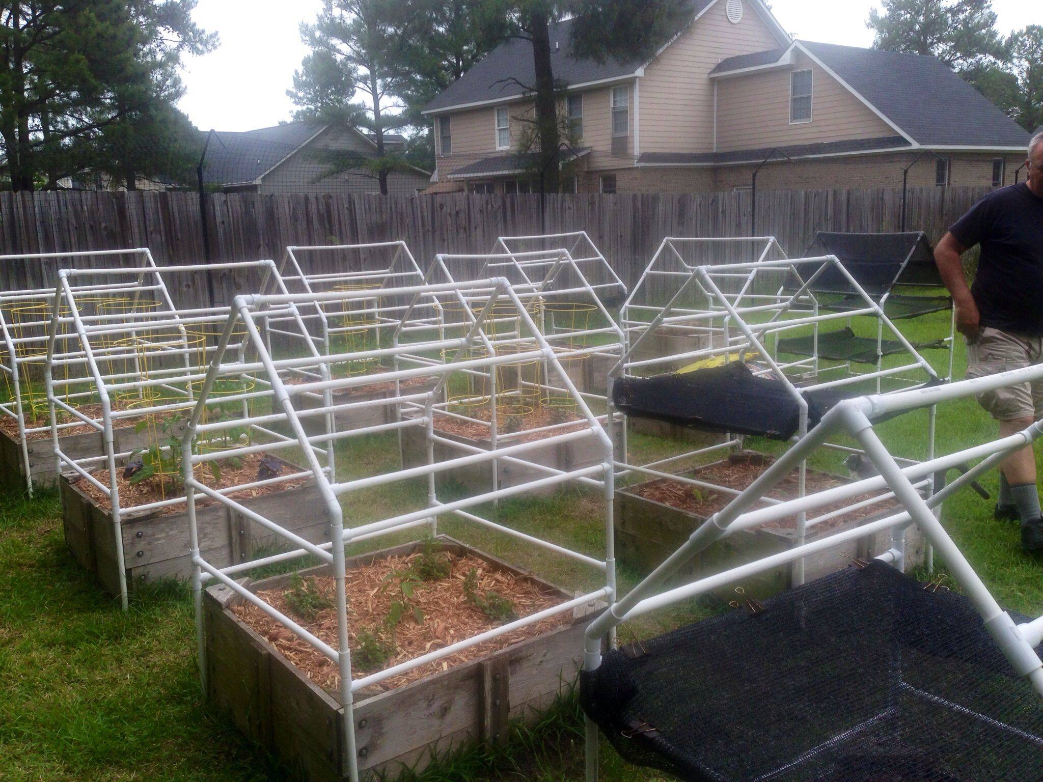 Your Vegetable Garden