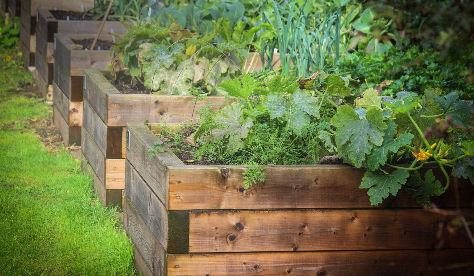 A Raised Garden Bed Cover