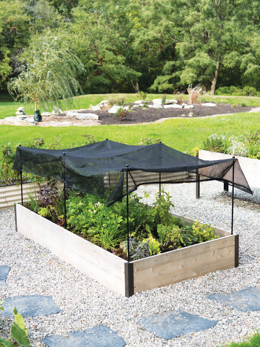 Garden Raised Garden Beds