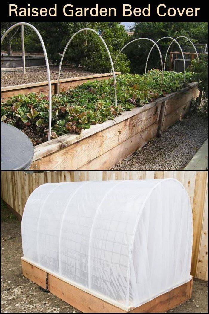 Gardeners Supply Plant