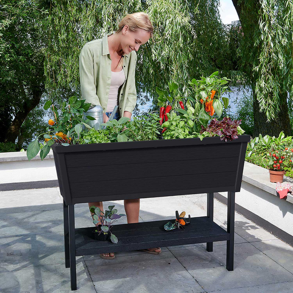 Keter Easy Grow Elevated Garden Bed Shopyourway