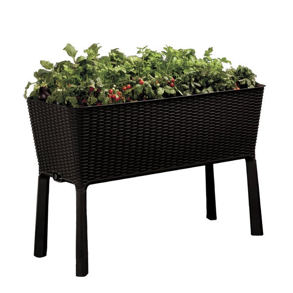 Keter Elevated Garden Bed Raised Bed Container Gardening