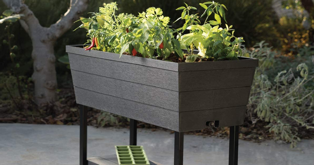 Keter Elevated Garden Bed Raised Bed Container Gardening