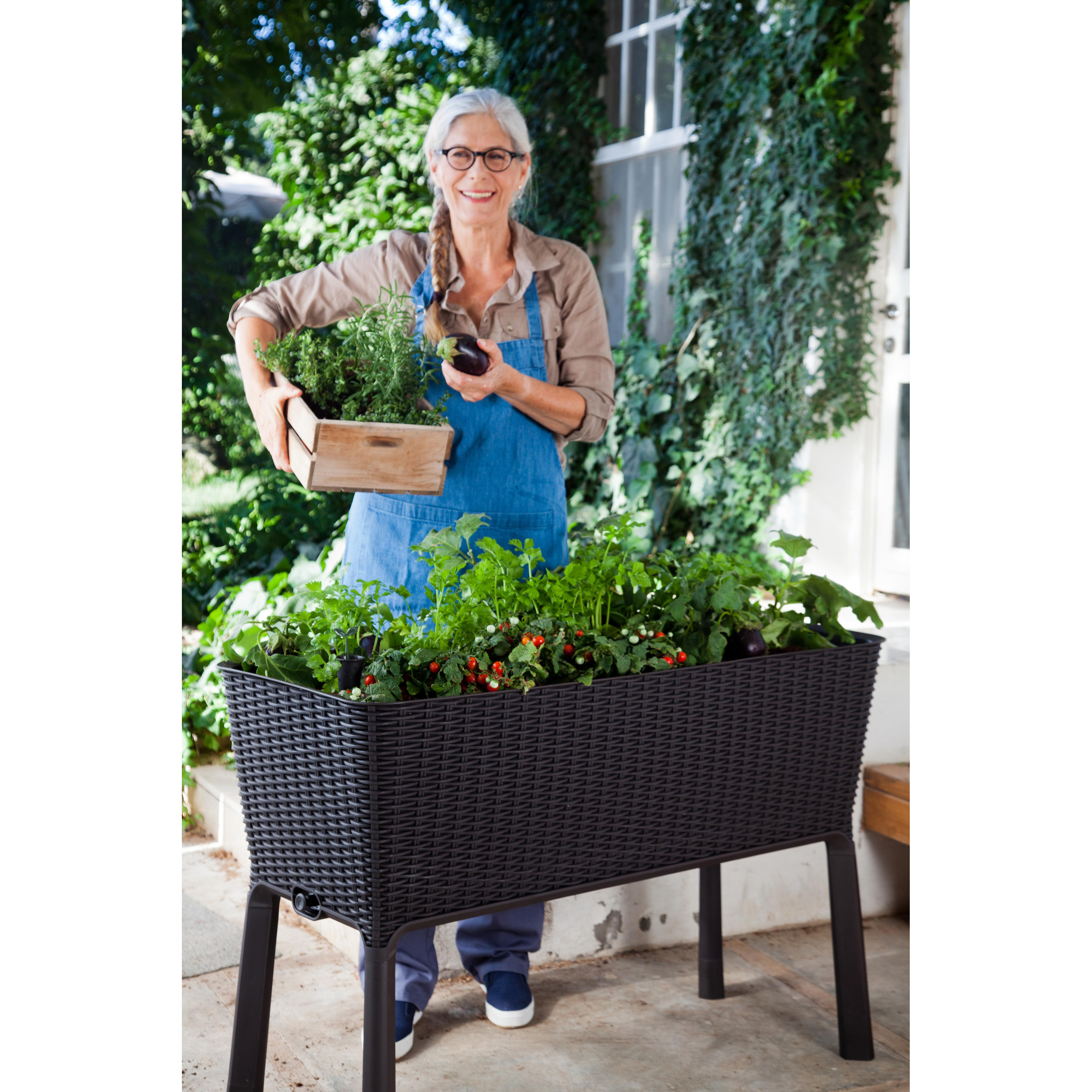 Keter Xl Urban Bloomer Resin Elevated Planter Raised Garden Bed Sam