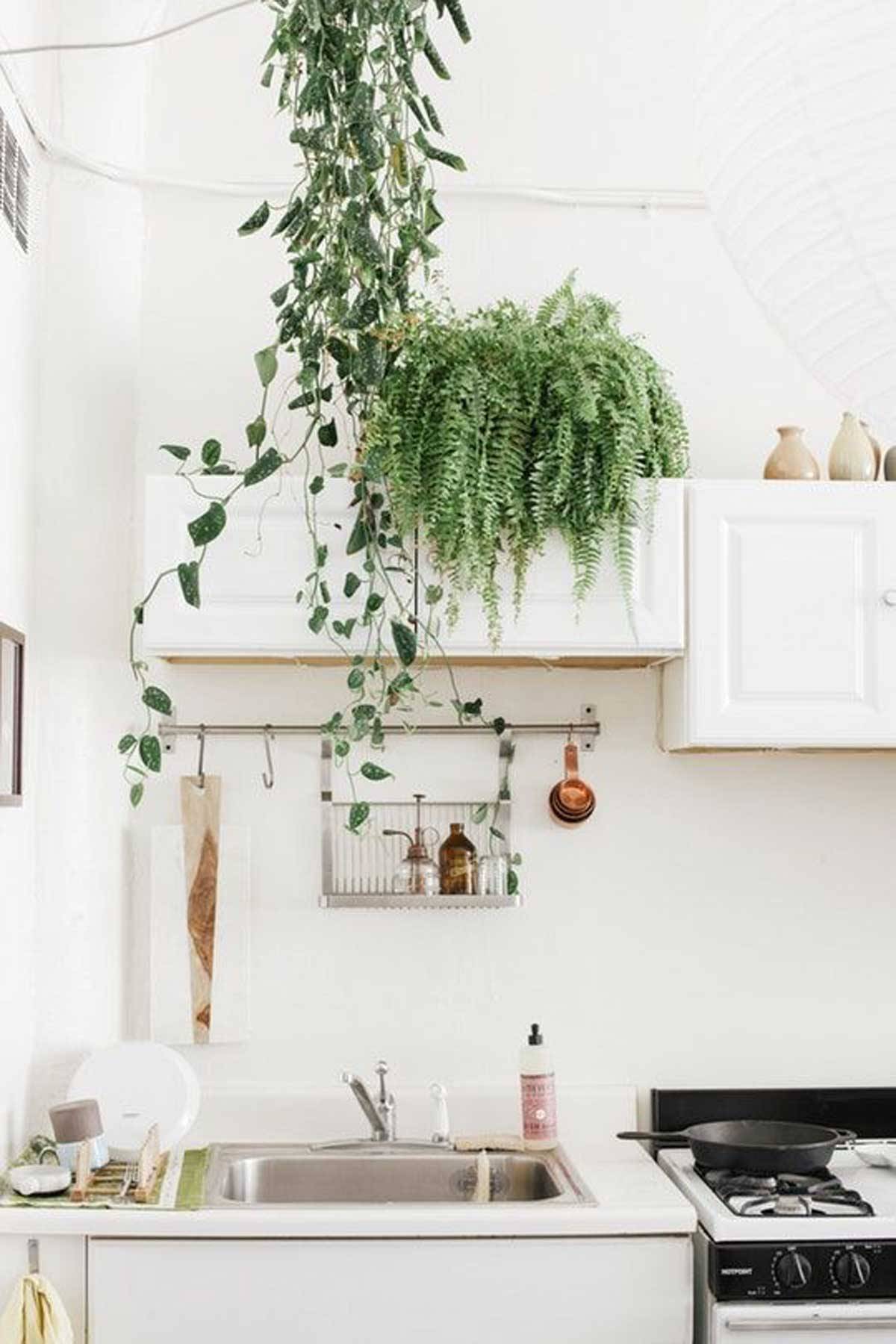 Smallspace Gardening Ideas