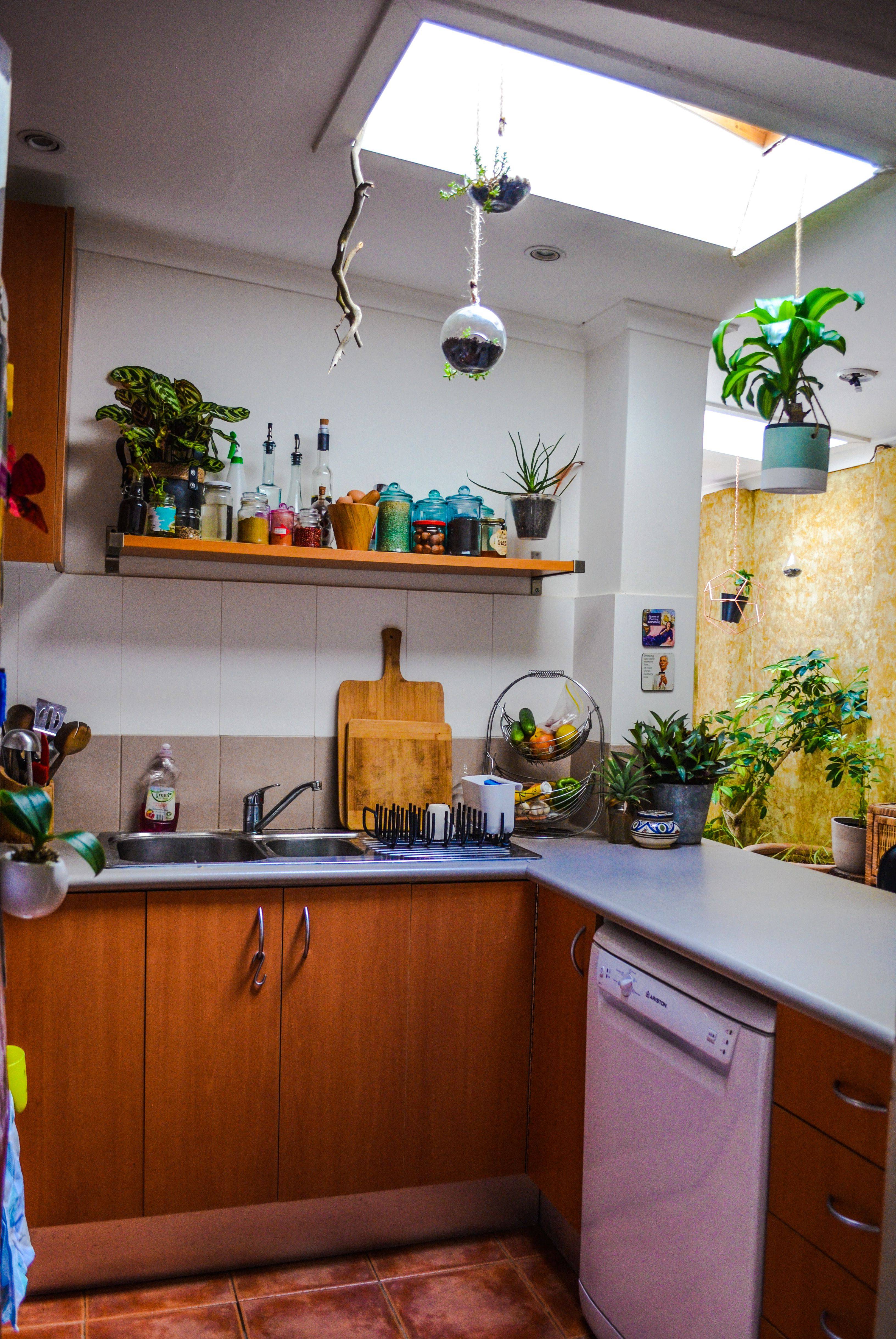 A Kitchen Garden