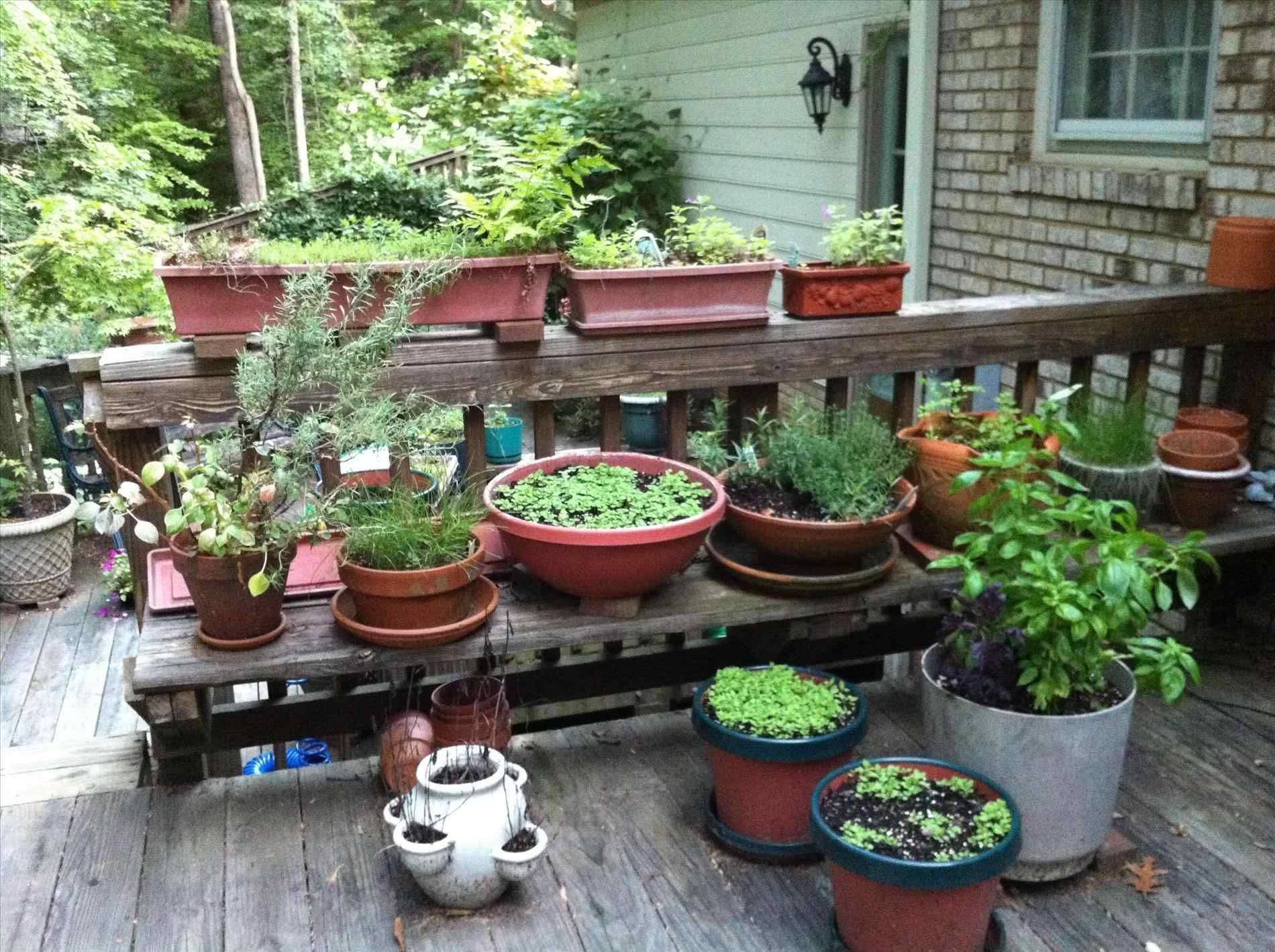 Easy Greenhouse Ideas