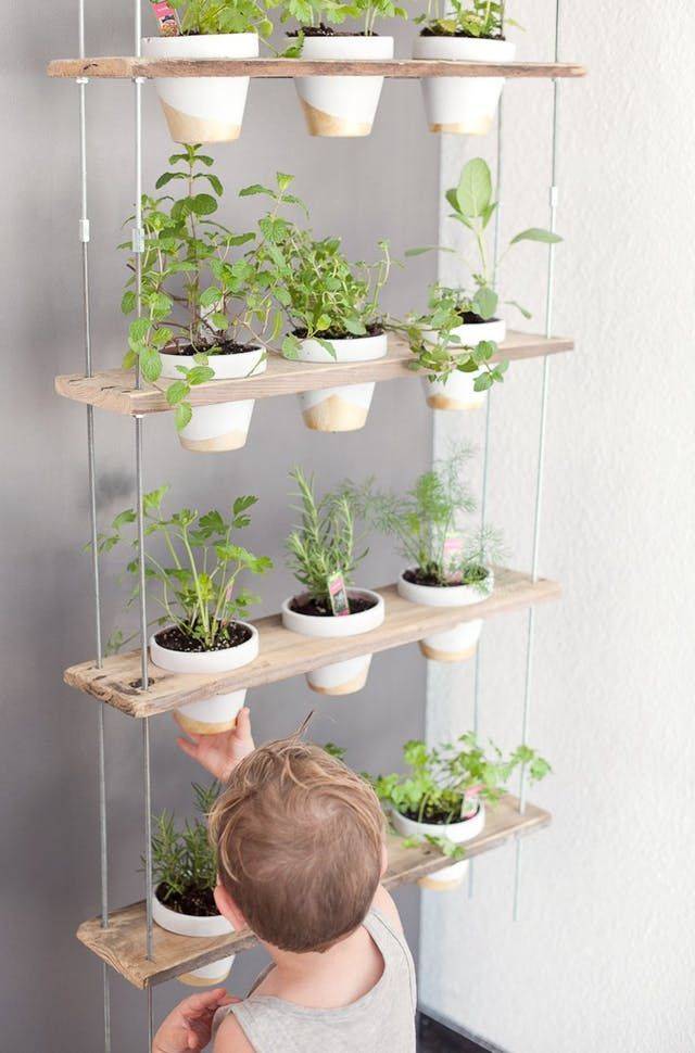 An Organic Kitchen Garden