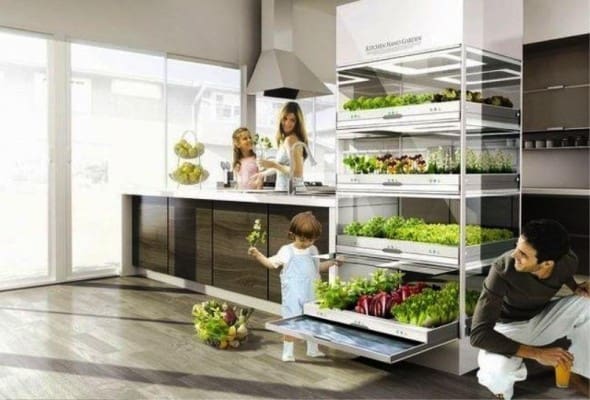 Kitchen Nano Garden