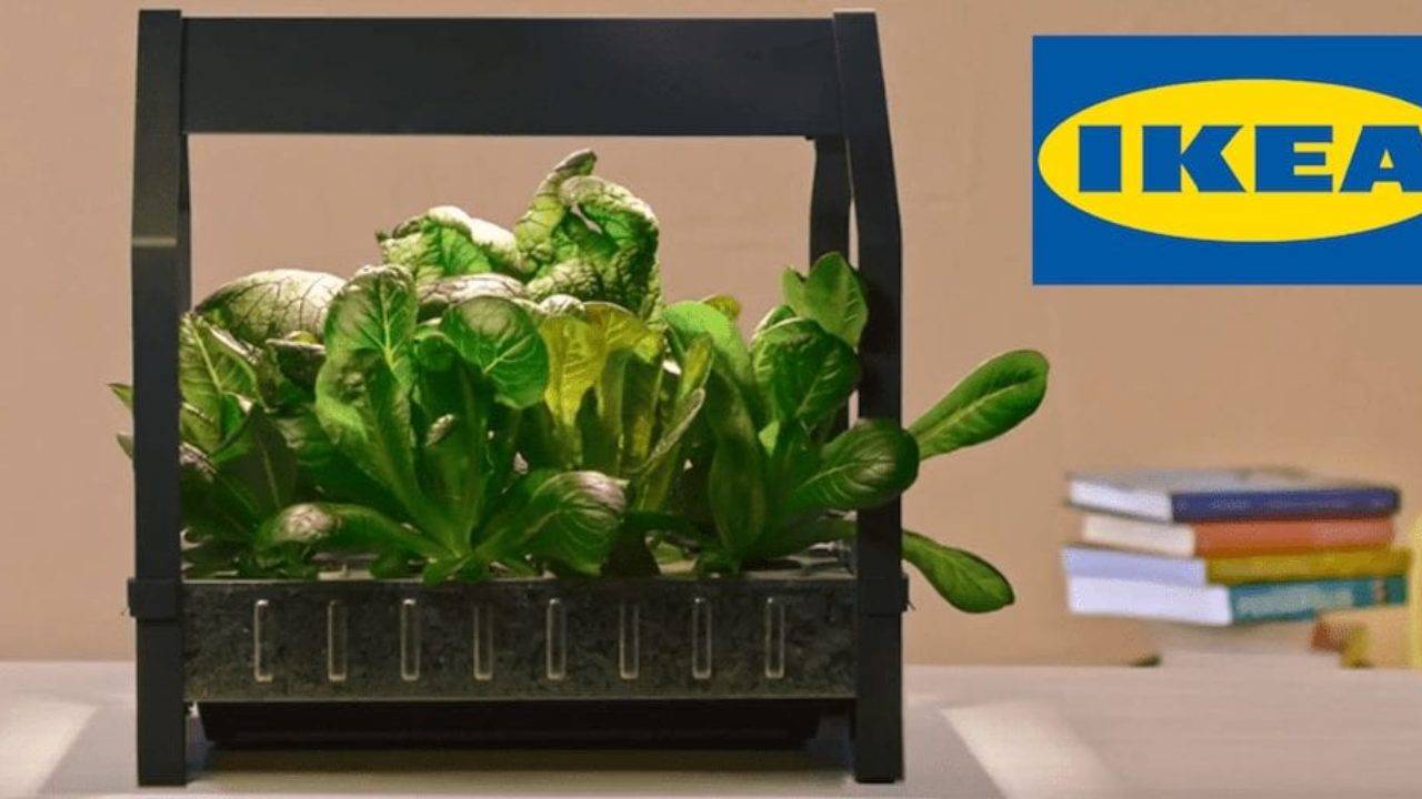 Kitchen Nano Garden