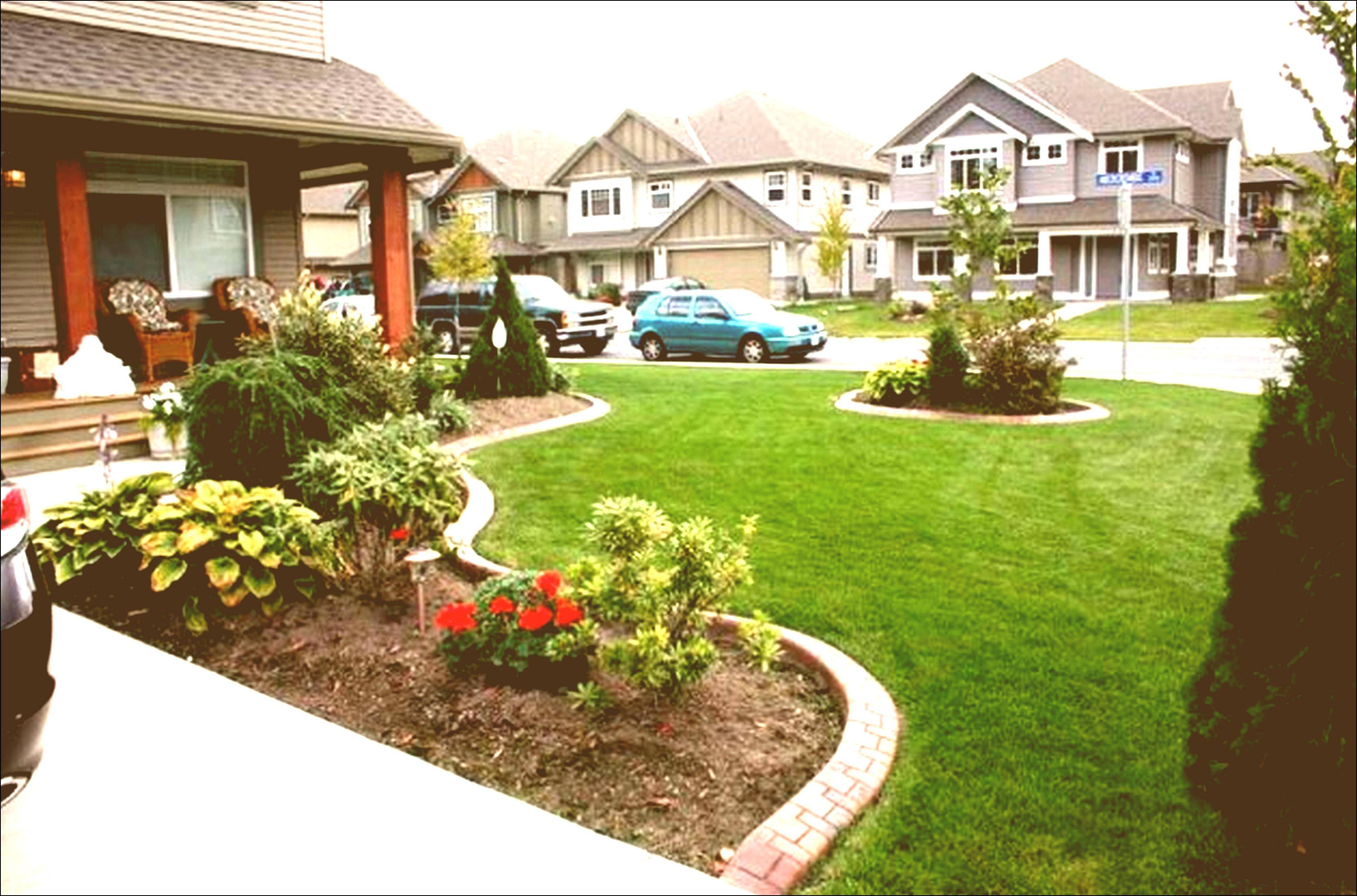 Amazing Small Garden Design Ideas Low Maintenance