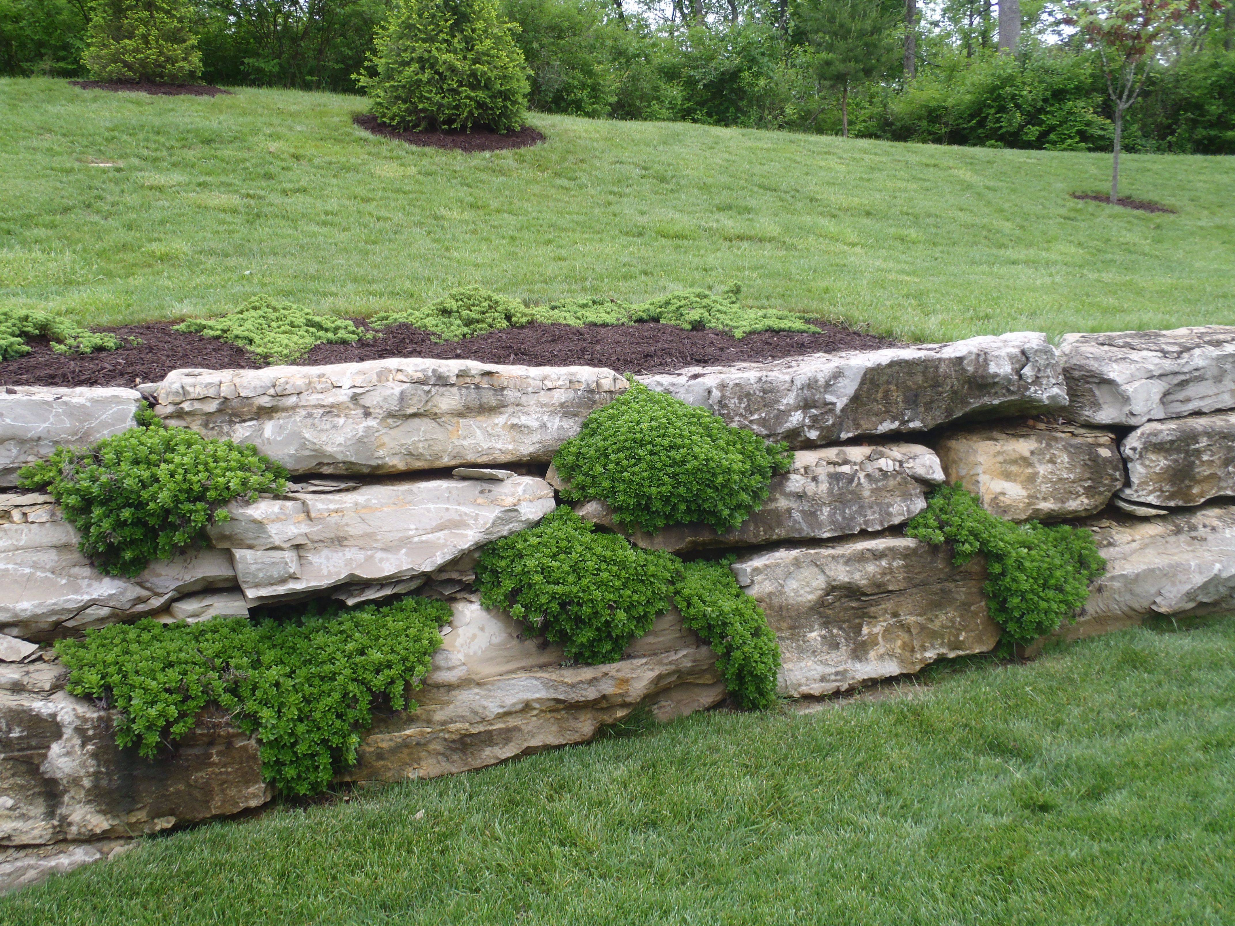 Landscaping Retaining Walls