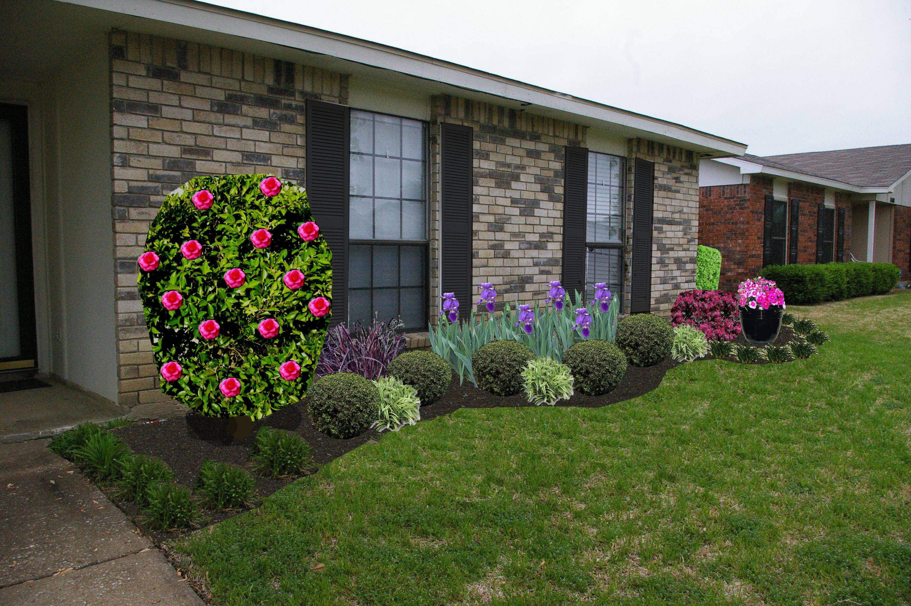 Front Garden Ideas