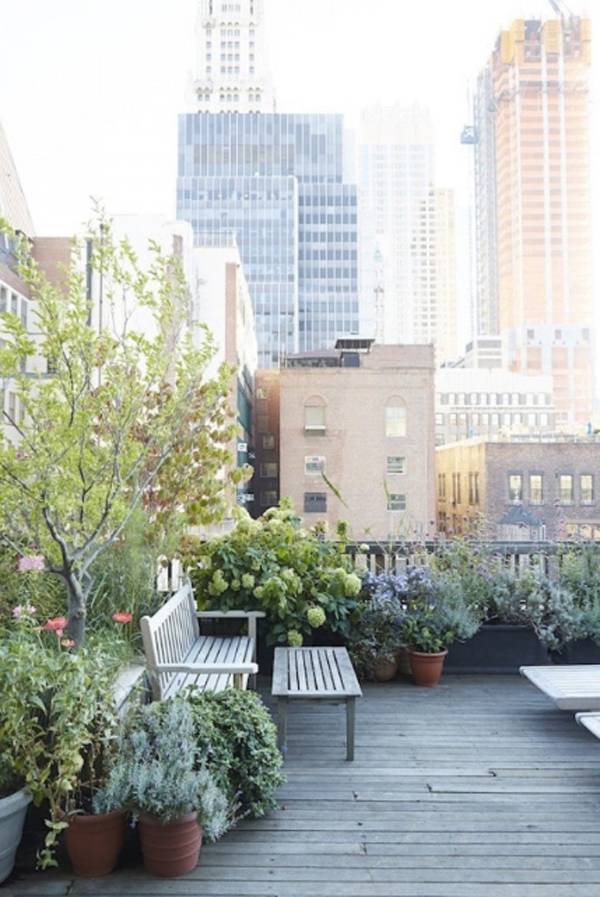 Small Garden Small City Garden