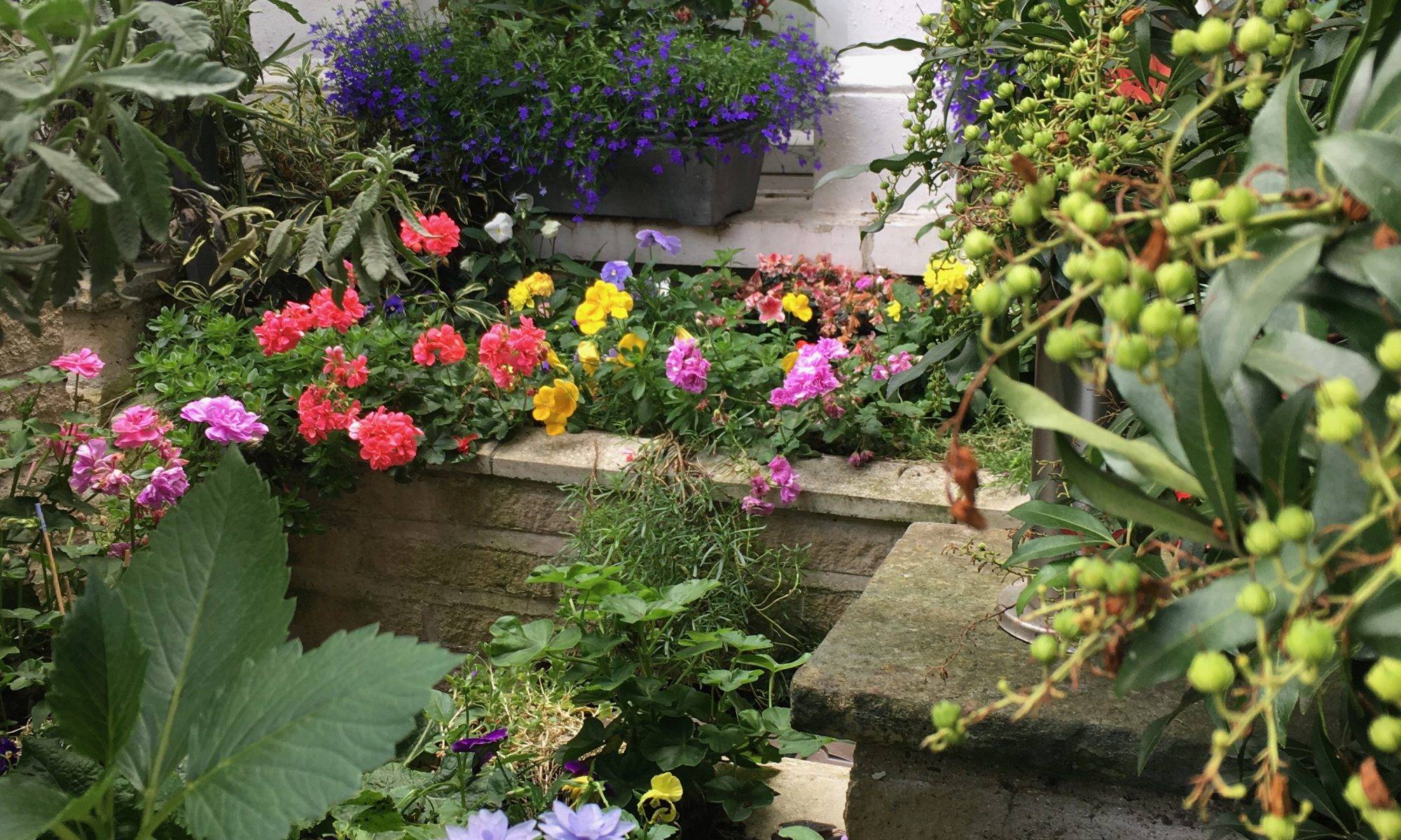 Barnsbury Townhouse Garden
