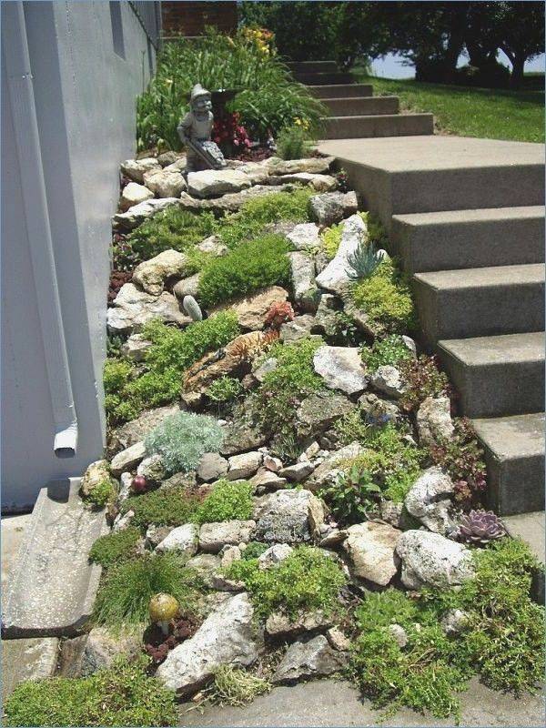 Divine Front Yard Designs