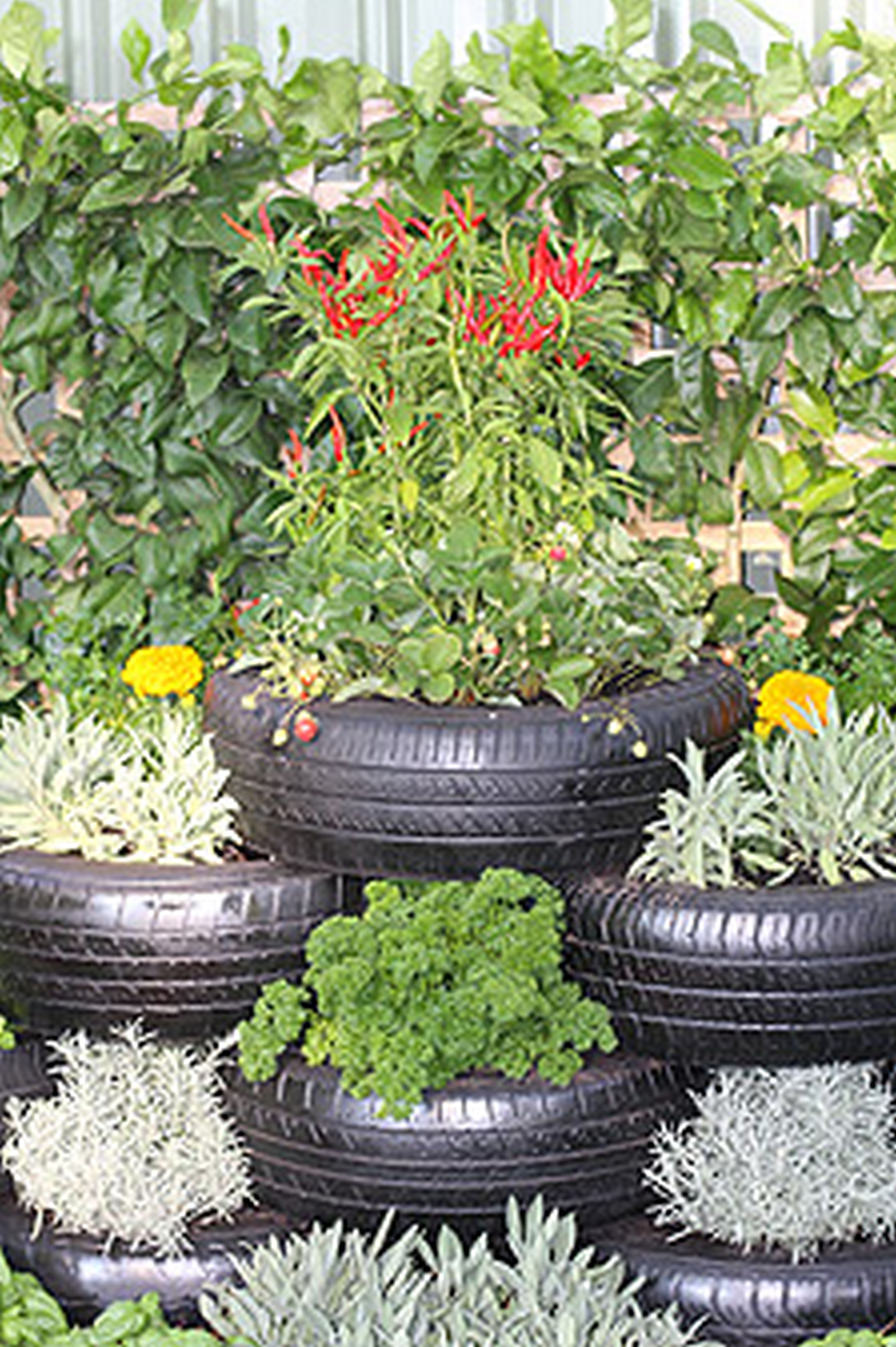 Divine Landscaping Large Areas Modern