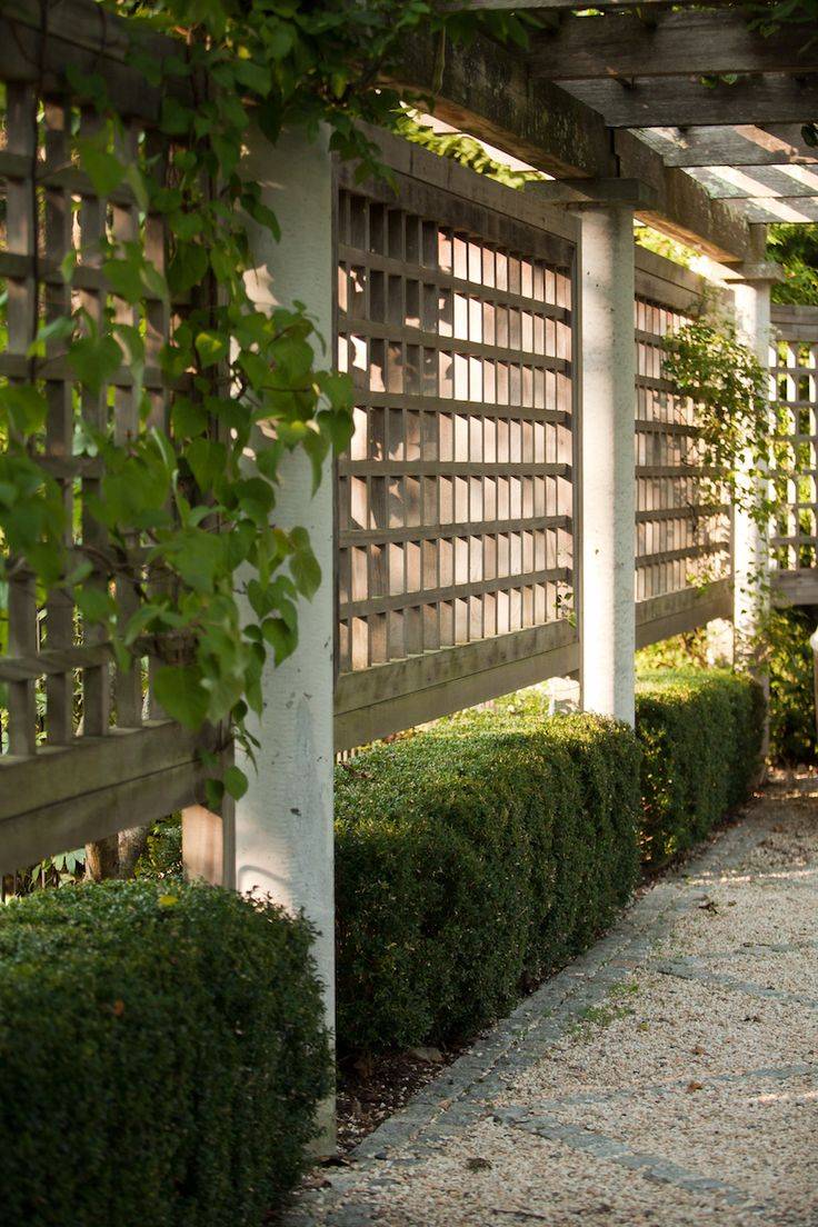 Budgetfriendly Privacy Screen Ideas
