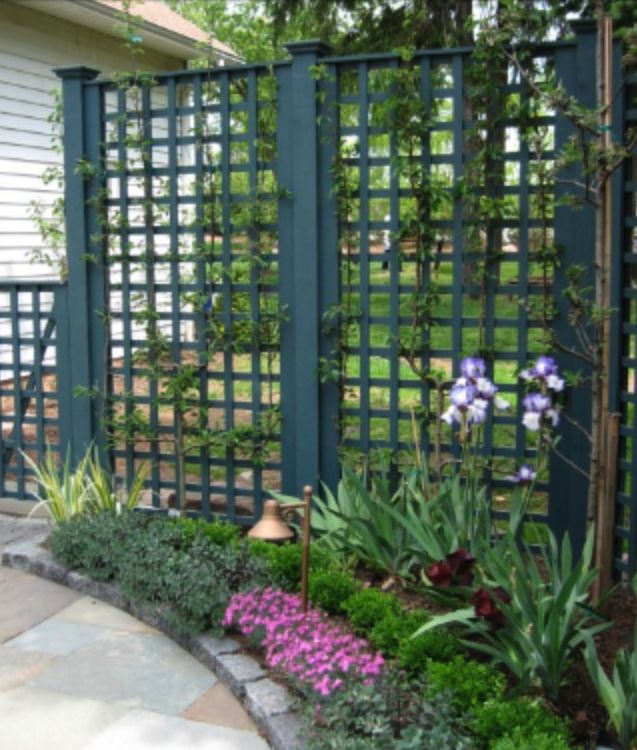 Ideas Privacy Screen Outdoor Projects