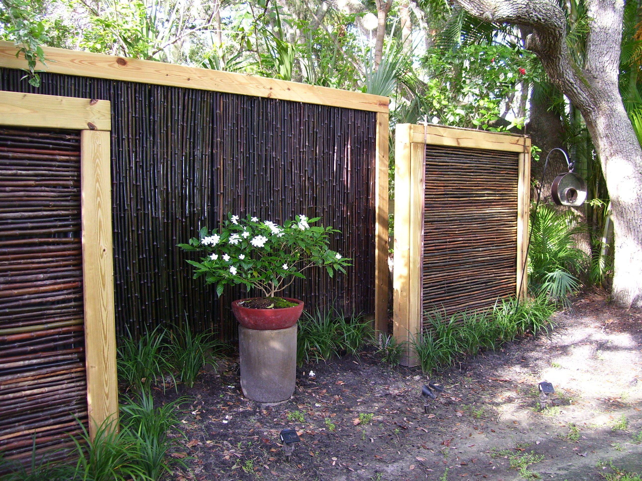 Smart Garden Screening Ideas
