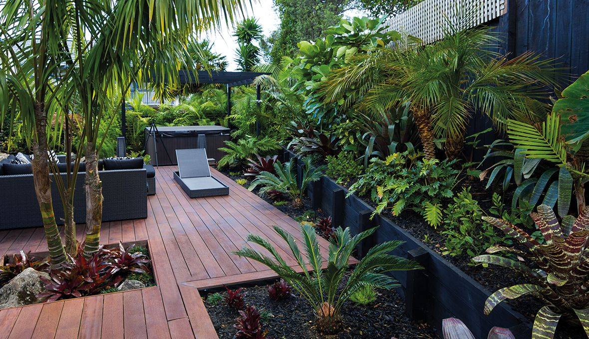 Tropical Landscaping