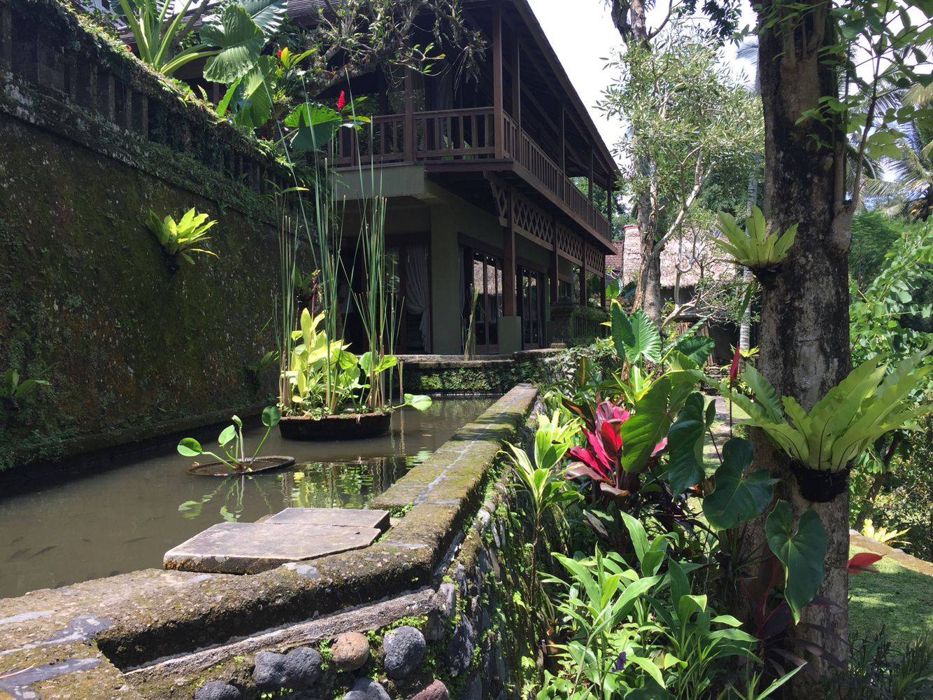 Tropical Living