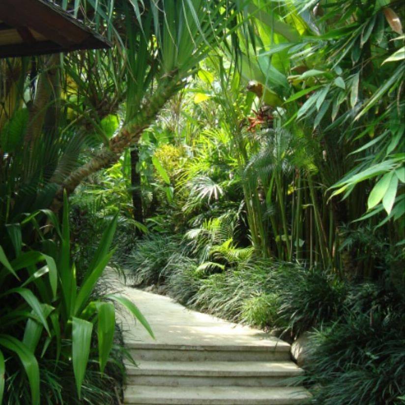 Bali Style Tropical Garden