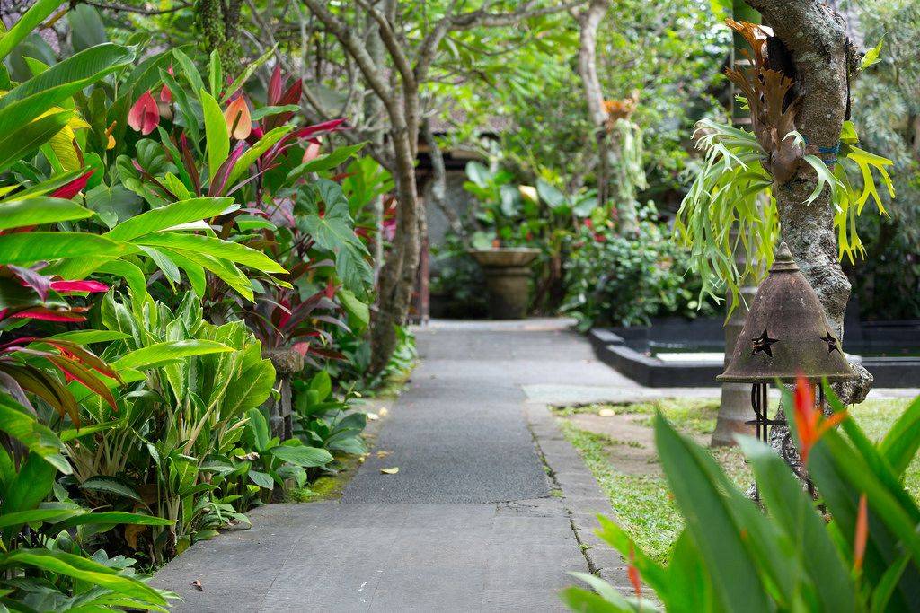 Bali Landscape Company Bali Landscape