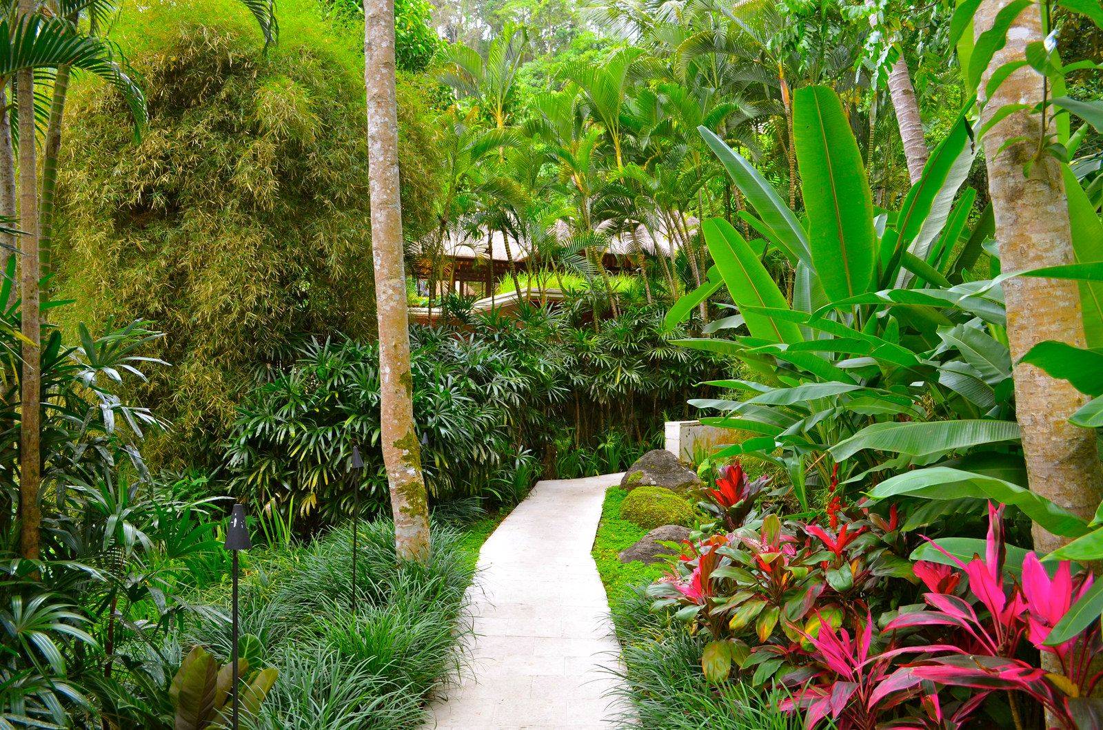 Stunning Tropical Garden Design Ideas