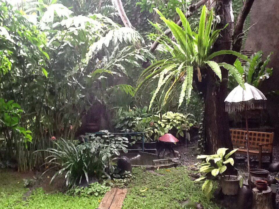 Stunning Tropical Garden Design Ideas