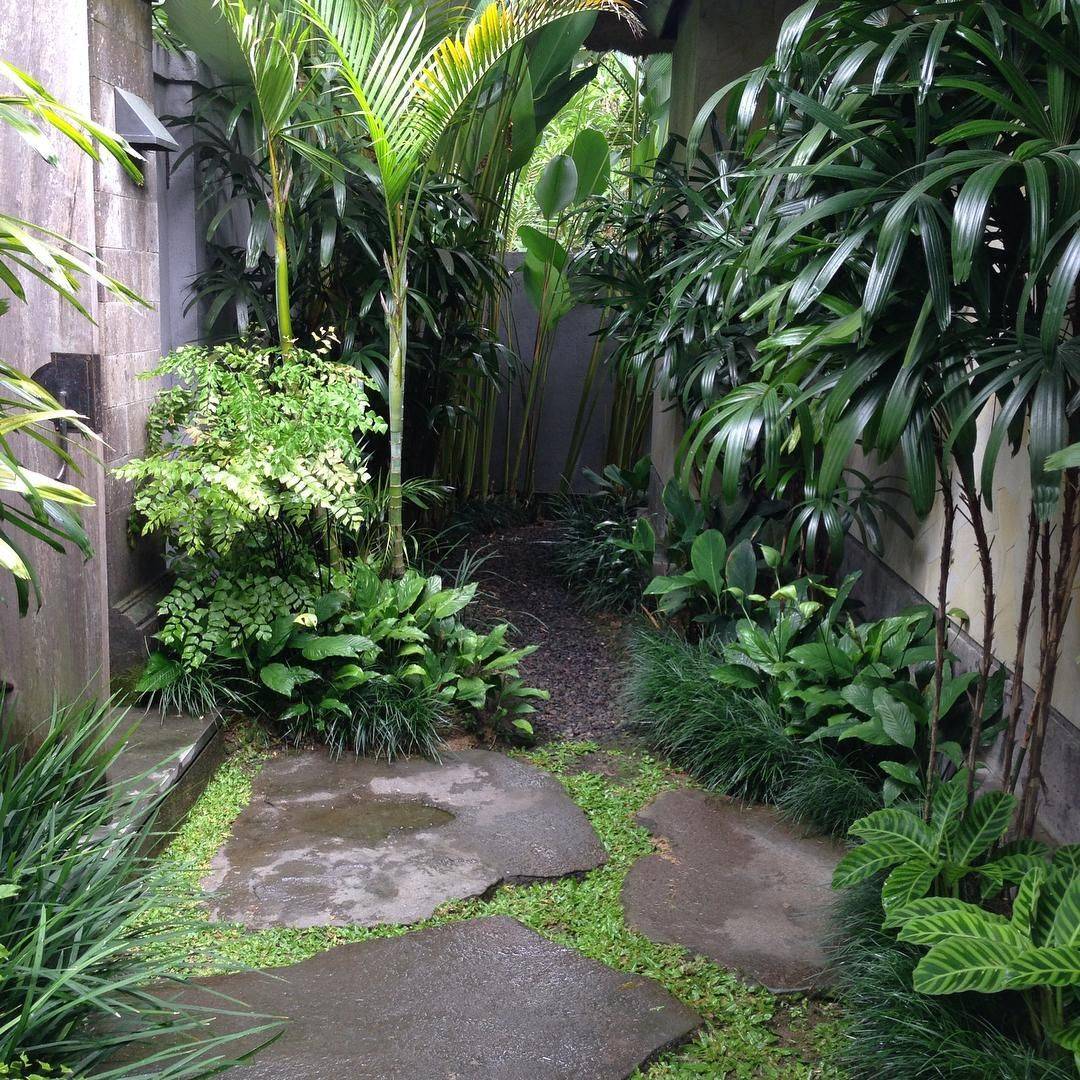Pinterest Tropical Gardens
