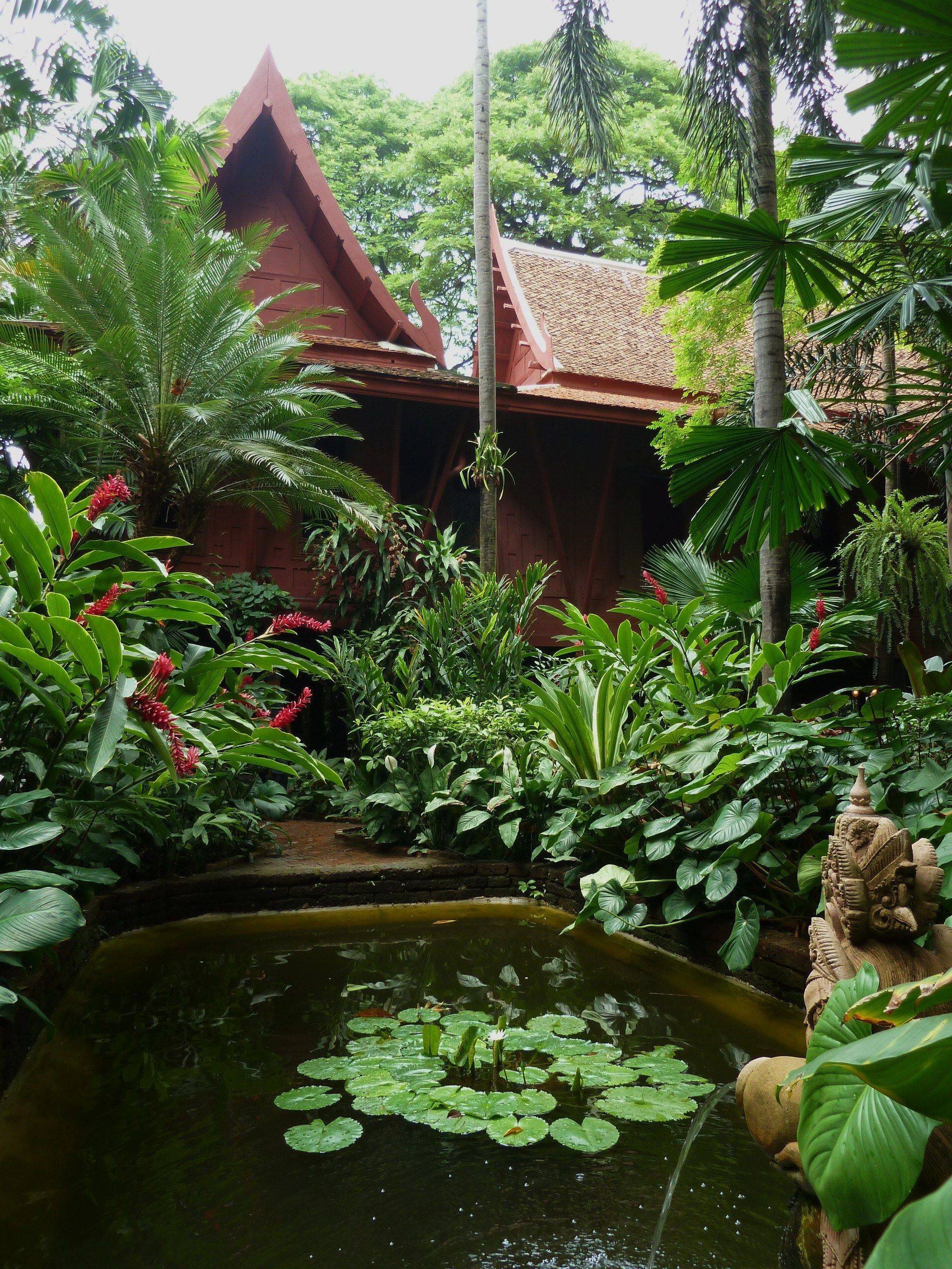 Tropical Garden