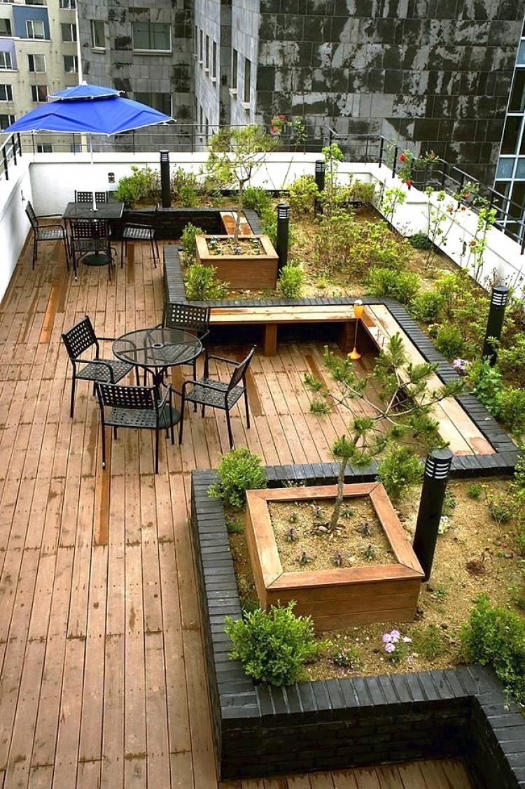 Beautiful Backyard Ideas