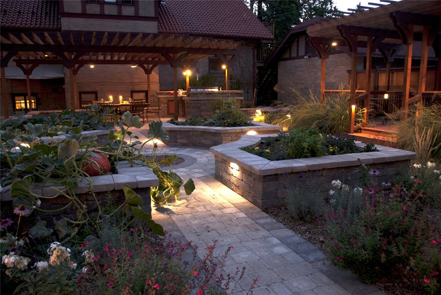 Tropical Backyard Ideas