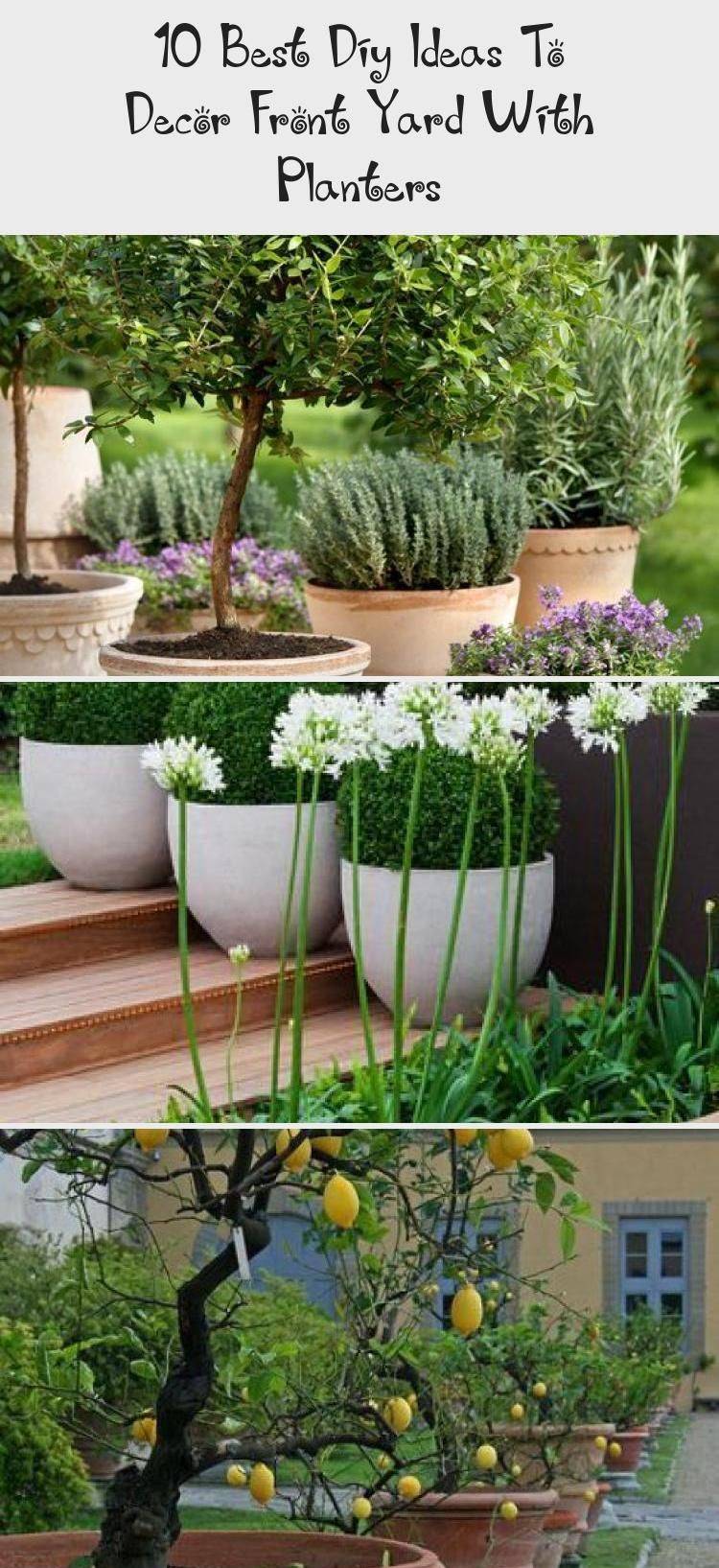 Cheap Easy Diy Outdoor Christmas Decorations Prudent Penny Pincher