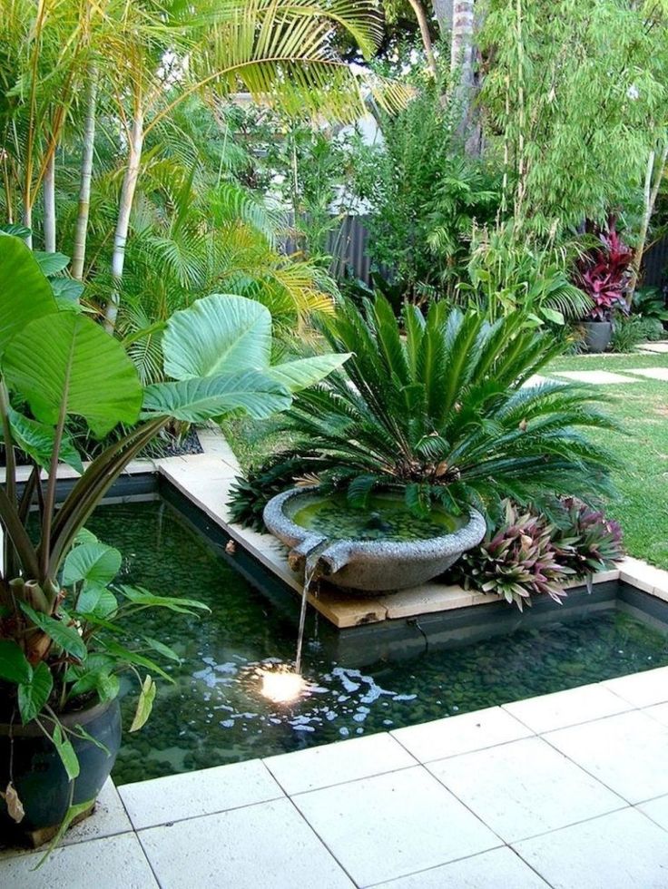 Tropical Garden Designs