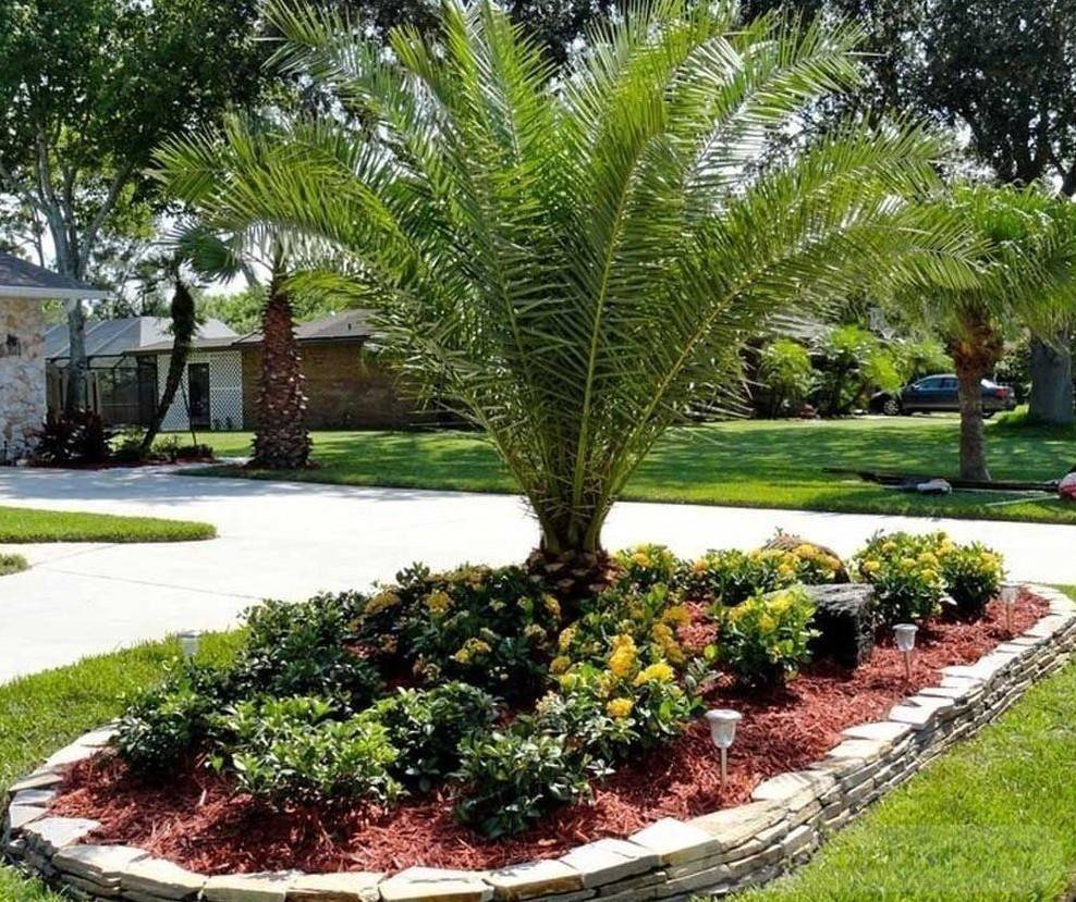 Tropical Gardens