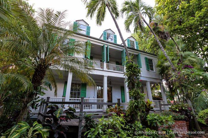 Tropical Gardens